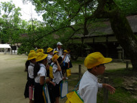 DSC07306