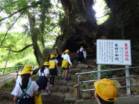 DSC07312
