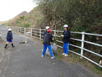 20f88d74-f05d-4bc0-9ed4-7b1b586b1853