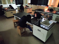 IMG_20260415_114827718_AE