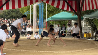 IMG_8970