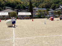 IMG_0638