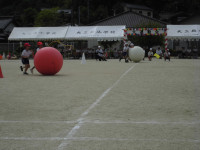 CIMG6985