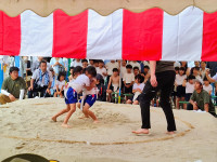 IMG_20260619_143336835_AE
